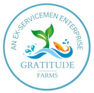 Device For Gratitude Farms Device mark 5874890 Trademark