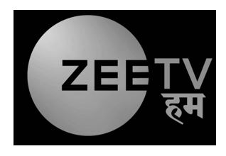 Zee Tv Hum Device mark 5878099 Trademark