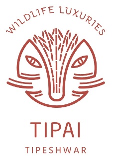 Tipai Label Device mark 5878163 Trademark