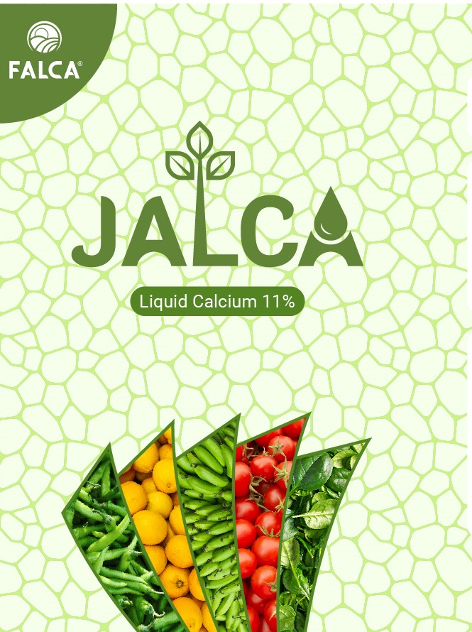 Jalca Device mark 5883307 Trademark