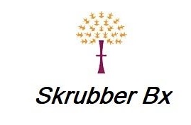 Skrubber Bx Device mark 5893104 Trademark