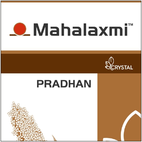 Pradhan Device mark 5909362 Trademark