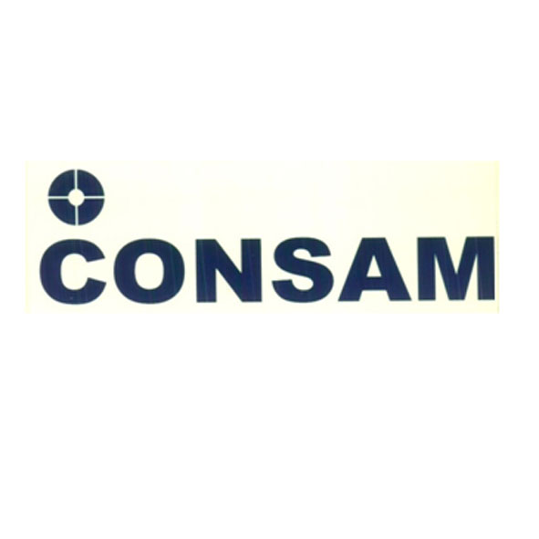 Consam With Device Device mark 5919236 Trademark