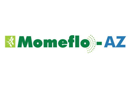 Momeflo-az Device mark 5922515 Trademark