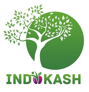 Indokash Device mark 5923730 Trademark