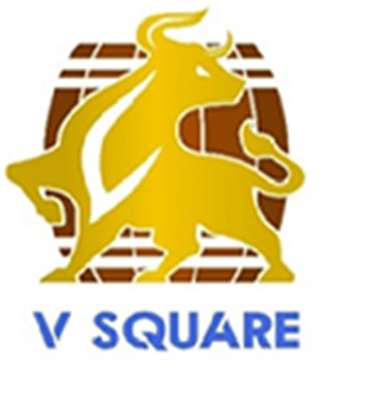 Vsquare Device mark 5925333 Trademark