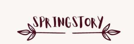 Springstory Device mark 5937594 Trademark