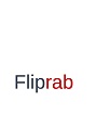Fliprab Device mark 5952857 Trademark