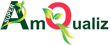 Super Am Qualiz Device mark 5953678 Trademark