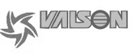 Valson With Logo Device mark 5953641 Trademark