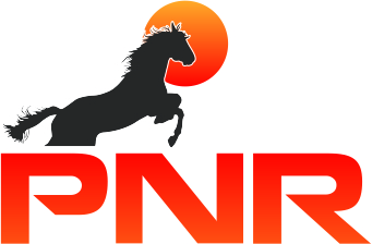Pnr Device mark 5984885 Trademark