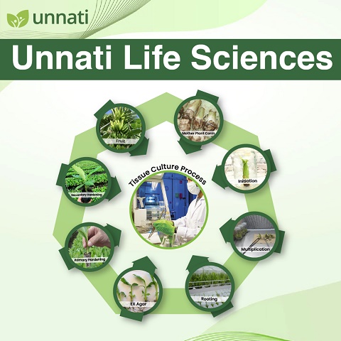 Unnati Life Sciencnes (label) Device mark 5987599 Trademark