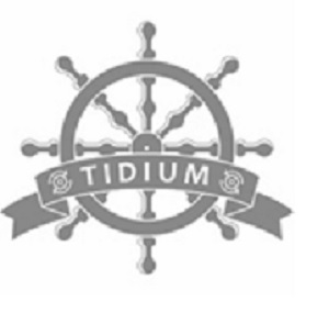 Tidium (device) Device mark 5994241 Trademark