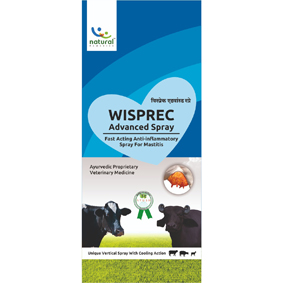 Wisprec Advanced Spray (device) Device mark 6000247 Trademark