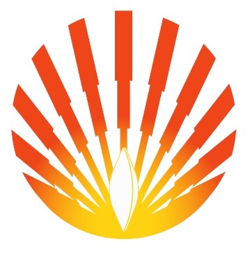 Logo (shantilal Shanghvi Eye Institute) Device mark 6015515 Trademark