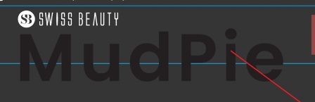 Swiss Beauty Mudpie Device mark 6021226 Trademark