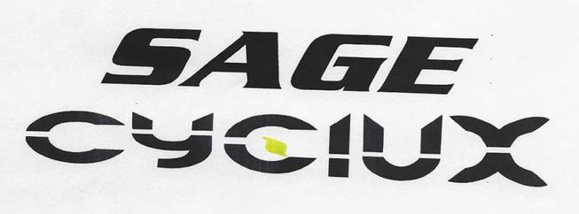 Device Of Cyclux Sage Device mark 6036641 Trademark
