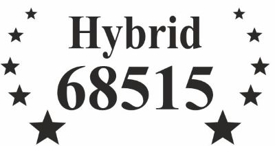 Hybrid 68515 Device mark 6039663 Trademark