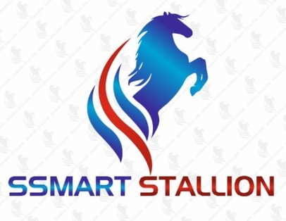 Ssmart Stallion Device mark 6043249 Trademark