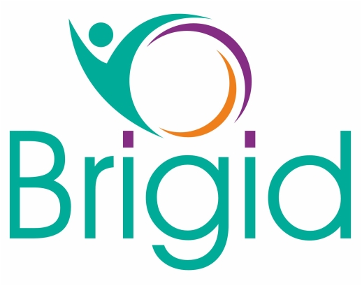 Brigid Device mark 6044052 Trademark