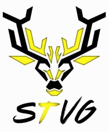 Stvg Device mark 5709657 Trademark