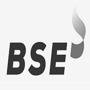 Device Of Bse Device mark 6077466 Trademark