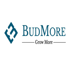 Budmore, Grow More Device mark 6078040 Trademark