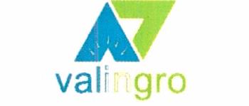 Valingro Device mark 6081567 Trademark