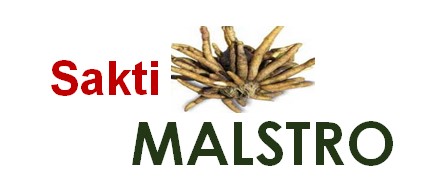Sakti Malstro Device mark 6081840 Trademark
