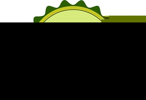 Varaahi Farms Device mark 6086156 Trademark