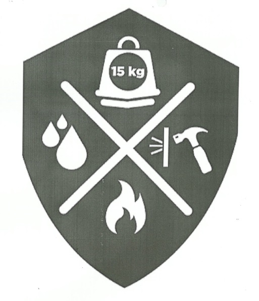 Logo (rigiroc) Device mark 6163026 Trademark