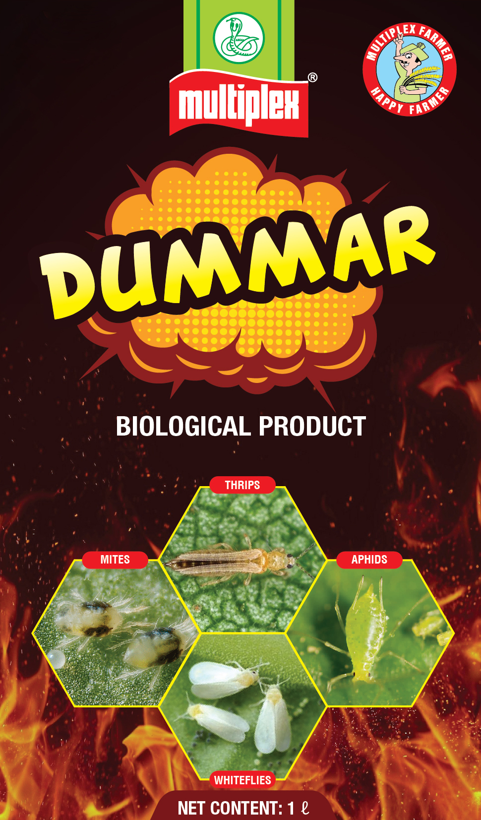 Label Of Multiplex - Dummar Device mark 6170306 Trademark