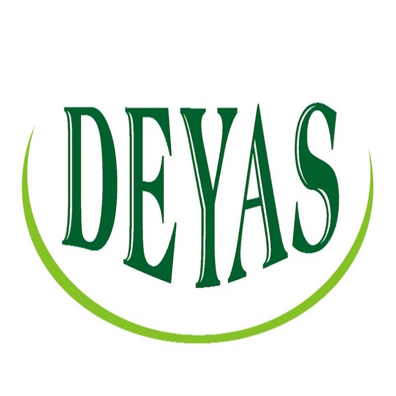 Deyas Device mark 6186006 Trademark