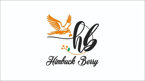 Himbuck Berry Device mark 6183434 Trademark