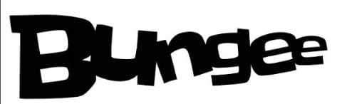 Bungee Device mark 6207316 Trademark