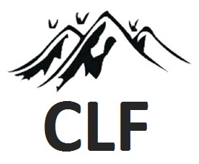 Clf Device mark 6215688 Trademark