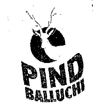 Pind Balluchi Device mark 6212891 Trademark