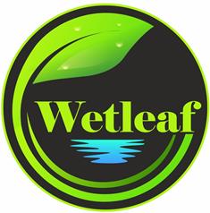 Wetleaf Device mark 6227797 Trademark