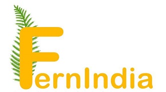 Fernindia Device mark 6237836 Trademark