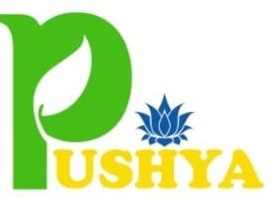 Pushya Device mark 6242581 Trademark