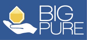 Big Pure Device mark 6241995 Trademark