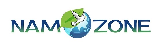 Namozone Device mark 6252113 Trademark