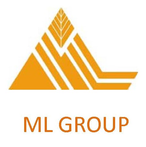 Ml Group Device mark 6253625 Trademark