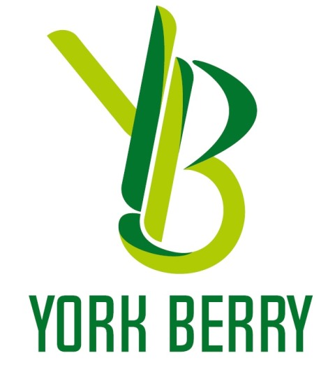 York Berry Device mark 6255421 Trademark
