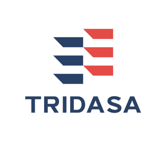 Tridasa Device mark 6255352 Trademark