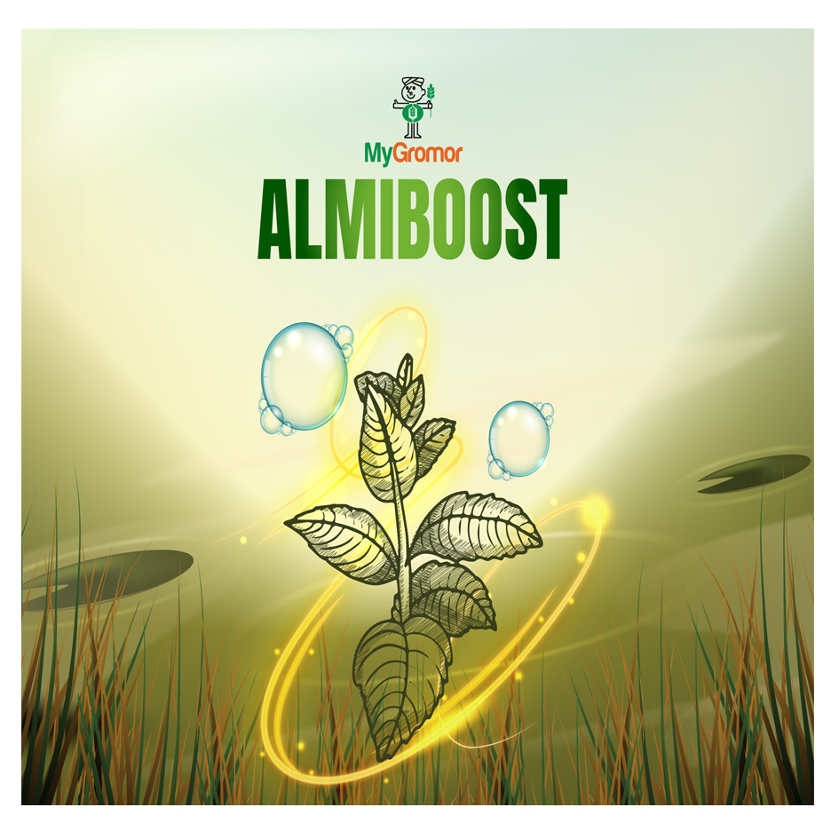 Almiboost Device mark 6264942 Trademark