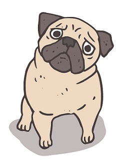Animated Pug Device Device mark 6275400 Trademark