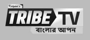 Device:tribe Tv Device mark 6298173 Trademark