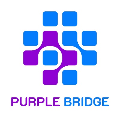 Purple Bridge Device mark 6309075 Trademark