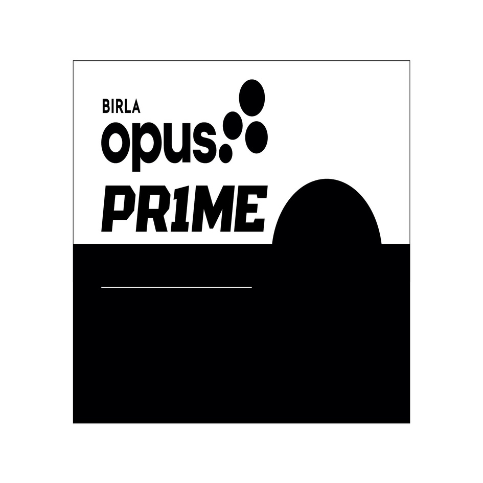 Birla Opus Prime Device mark 6321937 Trademark